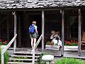June 15, 2003 - Along NC-276 in the Pisgah National Forest, North Carolina.<br />Cradle of Forestry in America.