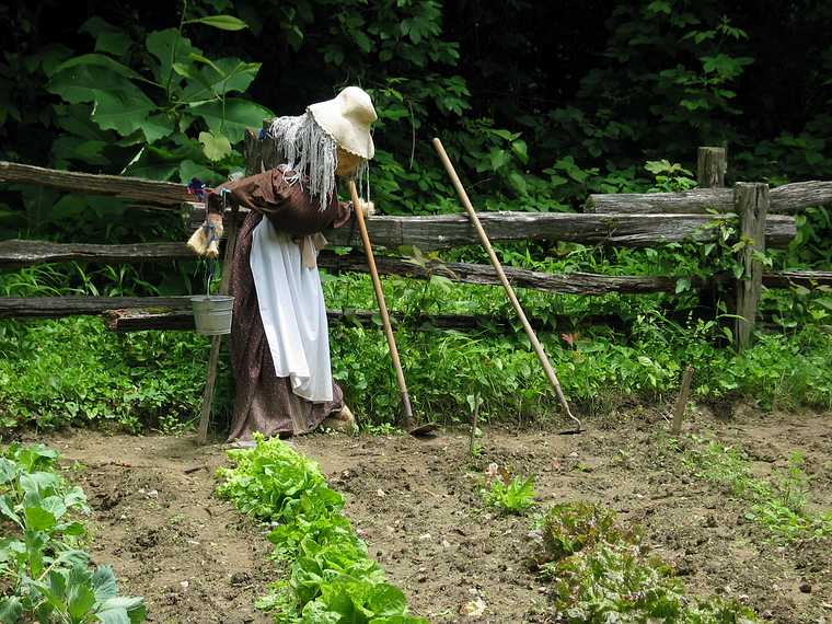 June 15, 2003 - Along NC-276 in the Pisgah National Forest, North Carolina.<br />A scarecrow at Cradle of Forestry in America.