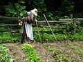June 15, 2003 - Along NC-276 in the Pisgah National Forest, North Carolina.<br />A scarecrow at Cradle of Forestry in America.