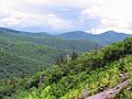 June 15, 2003 - Along NC-215 in the Pisgah National Forest, North Carolina.