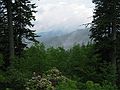 June 16, 2003 - Great Smoky Mountains National Park, North Carolina/Tennessee.<br />View SW (is that Clingmans Dome in the clouds?)  from lookout just north of Newfound Gap.