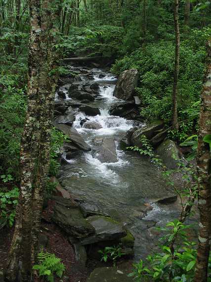 June 16, 2003 - Great Smoky Mountains National Park, North Carolina/Tennessee.<br />Along the alum cave bluffs trail.