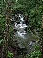 June 16, 2003 - Great Smoky Mountains National Park, North Carolina/Tennessee.<br />Along the alum cave bluffs trail.