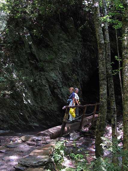 June 16, 2003 - Great Smoky Mountains National Park, North Carolina/Tennessee.<br />Baiba and Joyce on the alum cave bluffs trail.