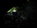 June 16, 2003 - Great Smoky Mountains National Park, North Carolina/Tennessee.<br />Along the alum cave bluffs trail.