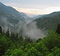 June 16, 2003 - Great Smoky Mountains National Park, North Carolina/Tennessee.<br />View from a Newfound Gap road overlook.