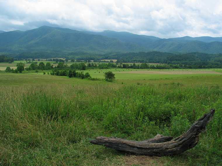 June 17, 2003 - Cades Cove, Great Smoky Mountains National Park, Tennessee.<br />Meadow in Cades Cove.