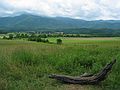 June 17, 2003 - Cades Cove, Great Smoky Mountains National Park, Tennessee.<br />Meadow in Cades Cove.