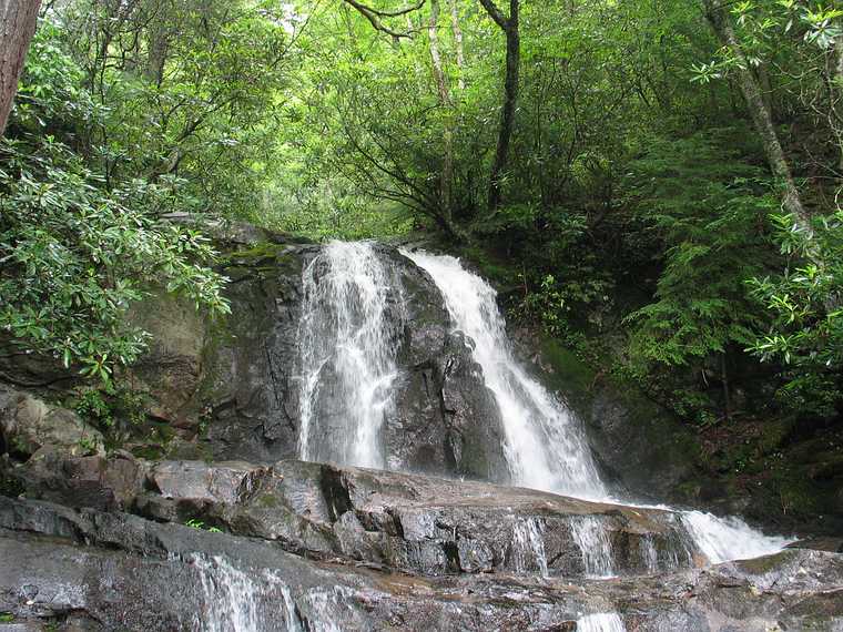 June 18, 2003 - Great Smoky Mountains National Park, Tennessee.<br />On the Laurel Falls trail.<br />Laurel Falls.
