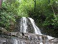 June 18, 2003 - Great Smoky Mountains National Park, Tennessee.<br />On the Laurel Falls trail.<br />Laurel Falls.