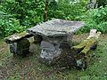 June 19, 2003 - Blue Ridge Parkway between Cherokee and Asheville, North Carolina.<br />Picnic area at end of spur road (at mile 458.2) near Black Camp Gap.