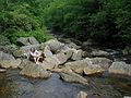 June 19, 2003 - Blue Ridge Parkway between Cherokee and Asheville, North Carolina.<br />Graveyard Fields overlook and walk to waterfalls on the East Fork of the Pigeon River.<br />Joyce at the water falls.