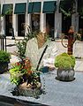 June 21, 2003 - Asheville, North Carolina.<br />On Wall Street.<br />Joyce in the store and street reflections.