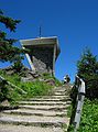 June 22, 2003 - Mount Mitchell State Park, North Carolina.<br />Atop Mount Mitchell (6684 feet).