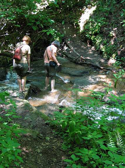 June 23, 2003 - Blue Ridge Parkway, North Carolina.<br />On the 2 mile Gully Creek Trail at Cumberland Knob (mile 217.5).<br />Baiba and Joyce wading across the creek.