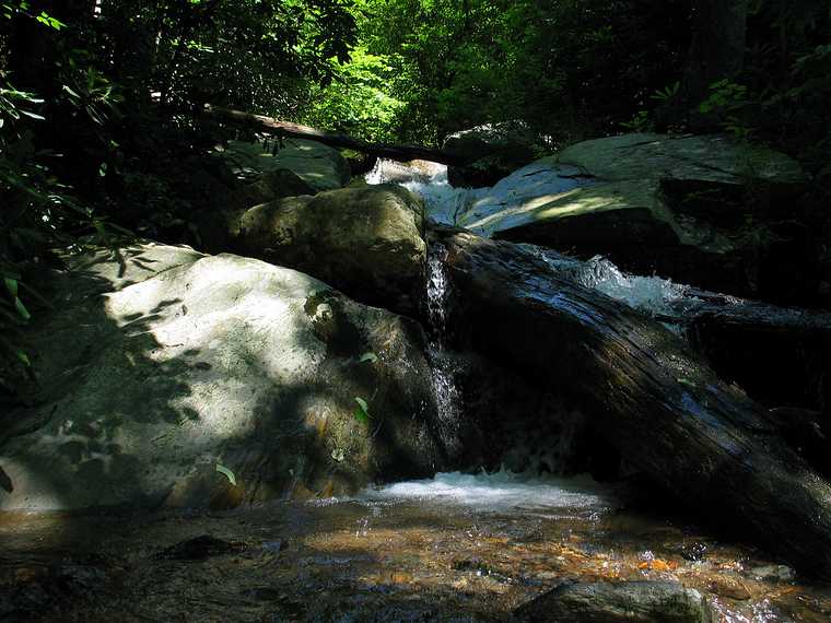 June 23, 2003 - Blue Ridge Parkway, North Carolina.<br />On the 2 mile Gully Creek Trail at Cumberland Knob (mile 217.5).