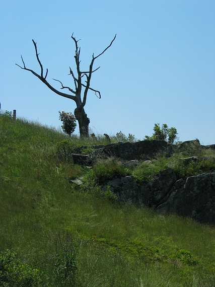 June 26, 2003 - Skyline Drive, Virginia.<br />Pollock Knob overlook.