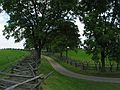 June 27, 2003 - Antietam National Battlefield, Maryland.<br />At the Sunken Road (Bloody Lane) battle site.