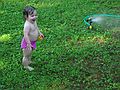 July 4, 2003 - Merrimac, Massachusetts.<br />Miranda.