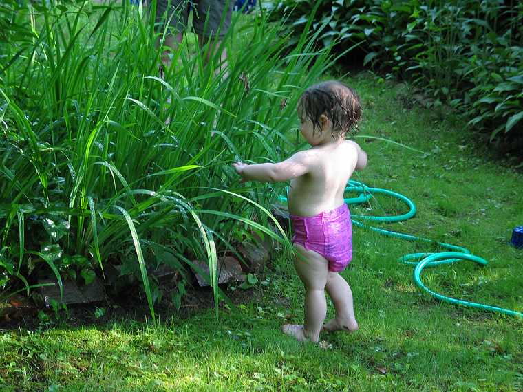 July 4, 2003 - Merrimac, Massachusetts.<br />Miranda.