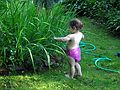 July 4, 2003 - Merrimac, Massachusetts.<br />Miranda.