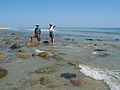 July 30, 2003 - Plum Island, Massachusetts.<br />Ronnie and Baiba at Sandy Point State Reservation.
