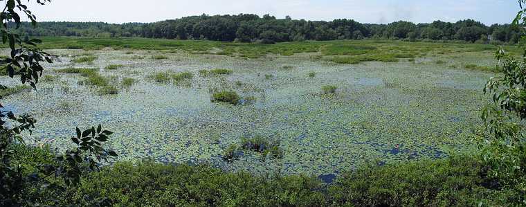 Aug 15, 2003 - Ipswich River Wildlife Sanctuary, Topsfield, Massachusetts.<br />A stitch of two images.
