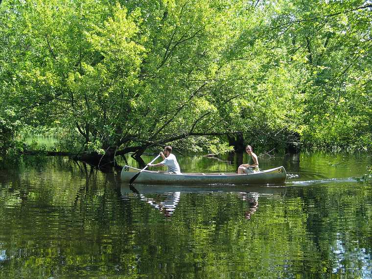Aug 15, 2003 - Ipswich River Wildlife Sanctuary, Topsfield, Massachusetts.
