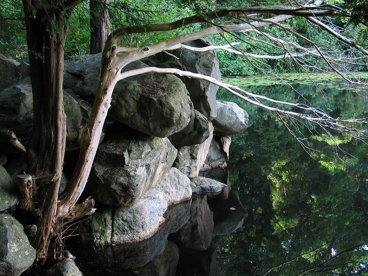 Aug 15, 2003 - Ipswich River Wildlife Sanctuary, Topsfield, Massachusetts.