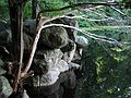 Aug 15, 2003 - Ipswich River Wildlife Sanctuary, Topsfield, Massachusetts.