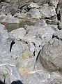 Aug 23, 2003 - Mendocina National Forest, California.<br />Along the Eel River.