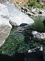 Aug 23, 2003 - Mendocina National Forest, California.<br />Along the Eel River.