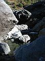 Aug 23, 2003 - Mendocina National Forest, California.<br />Along the Eel River.