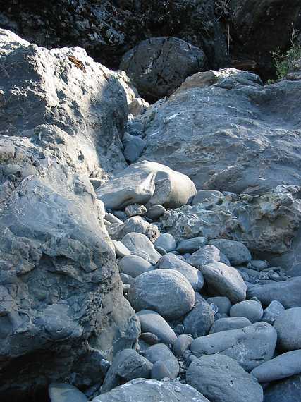 Aug 23, 2003 - Mendocina National Forest, California.<br />Along the Eel River.