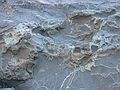 Aug 23, 2003 - Mendocina National Forest, California.<br />Along the Eel River.