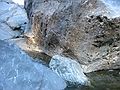 Aug 23, 2003 - Mendocina National Forest, California.<br />Along the Eel River.