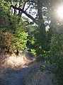 Aug 23, 2003 - Mendocina National Forest, California.<br />Along the Eel River.