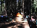 Aug 24, 2003 - Mendocino National Forest, California.<br />Joyce's trip to visit Melody.<br />Campground at Black Butte.