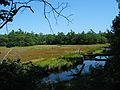 Sep 7, 2003 - Rachel Carson National Wildlife Refuge, Wells, Maine.
