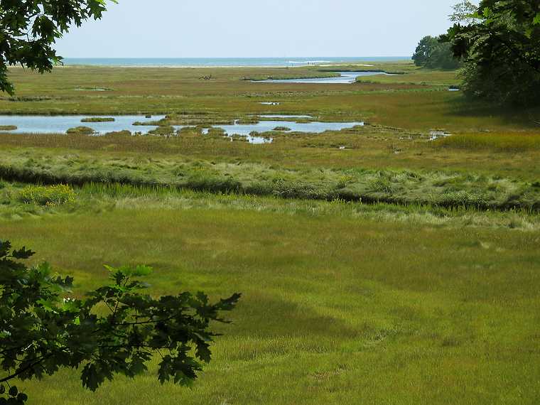 Sep 7, 2003 - Rachel Carson National Wildlife Refuge, Wells, Maine.