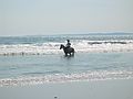Sep 7, 2003 - Parsons Beach, Wells, Maine.