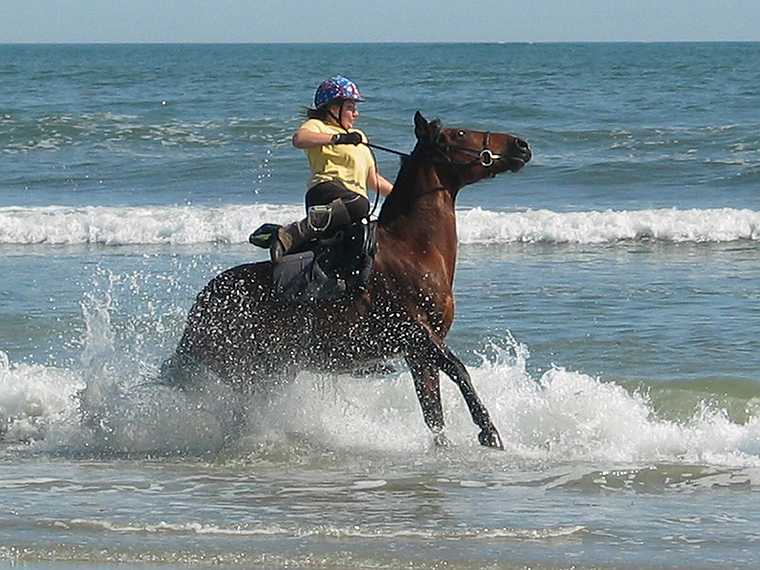 Sep 7, 2003 - Parsons Beach, Wells, Maine.<br />The wave scared this horse and threw the riderl