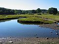 Sep 8, 2003 - Manchester by the Sea.<br />View across from Black Beach.