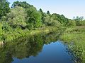 Sep 10, 2003 - Ipswich River Wildlife Sanctuary, Topsfield, Massachusetts.<br />John Geesink and I walked just outside the sancturary to a bridge over the Ipswich River.