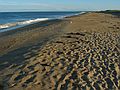 Sep 16, 2003 - Parker River National Wildlife Refuge, Plum Island, Massachusetts.