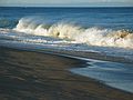 Sep 16, 2003 - Parker River National Wildlife Refuge, Plum Island, Massachusetts.
