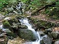 Sept 21, 2003 - Grafton State Park near Bethel, Maine.