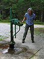Sept 21, 2003 - Grafton State Park near Bethel, Maine.<br />Joyce at Spruce Meadow picnic area.