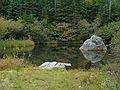 Sept 22, 2003 - Along Tuckerman Ravine Trail between Pinkham Notch and Hermit Lake, New Hampshire.<br />Hermit Lake.