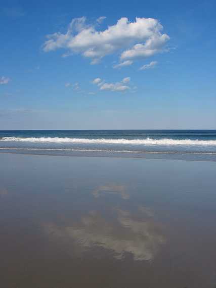 Sept 24, 2003 - Parker River National Wildlife Refuge, Plum Island, Massachusetts.<br />On a walk south of parking lot #5 with John Geesink.<br />We found lots of sand dollars on the beach there.